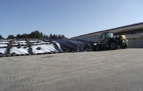 sklizen-kukurice-2013_12.jpg
