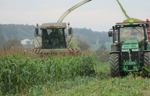 sklizen-kukurice-2014_14.jpg